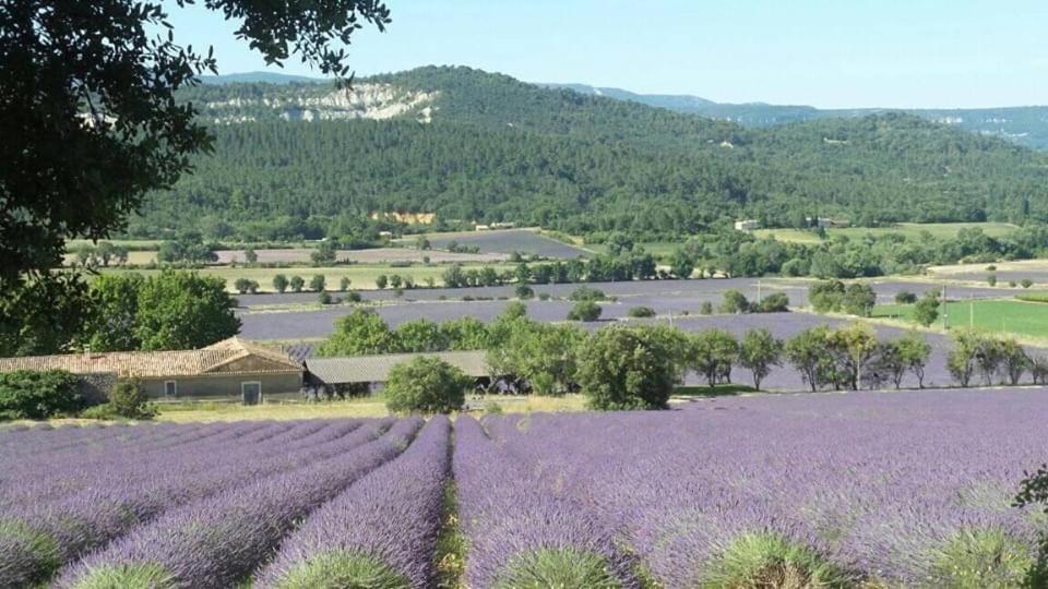Chambre Privee Independante Au Coeur Du Luberon Saint-Saturnin-d'Apt Buitenkant foto